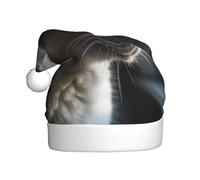 NSDdefAWCGT Christmas Hat Cat Looking out the Window Santa Hat Holiday for Adults Unisex Xmas Cap for New Year Festive Party