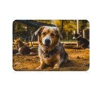 NSDdefAWCGT Front Door Mat Dirt Trapper Welcome Mat for Outdoor Indoor Dog in Playground Non-Slip Doormat Low Profile Entry Rug for Back Door Outside Patio Porch 16" x 24"