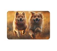 NSDdefAWCGT Front Door Mat Dirt Trapper Welcome Mat for Outdoor Indoor Dog Running in the Field Non-Slip Doormat Low Profile Entry Rug for Back Door Outside Patio Porch 16" x 24"