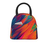 NSDdefAWCGT Insulated Lunch Bag for Women Men Portable Leak-Proof Cool Bag Abstract Colors Pattern Lunch Box for Picnic