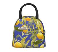 NSDdefAWCGT Insulated Lunch Bag for Women Men Portable Leak-Proof Cool Bag Lemon Branch Lunch Box for Picnic
