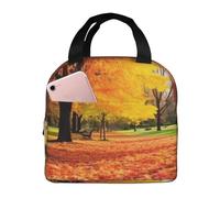 NSDdefAWCGT Insulated Lunch Bag for Women Men Reusable Small Lunchbox Beautiful Colorful Autumn Park Portable Lunch Box for Work Picnic