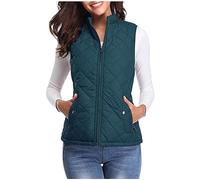 NSICBMNO Womens Winter Coats Sleeveless Down Jacket Plain Body Warmer Zip Up Vest Padded Waistcoat Winter Wear Cropped Puffer Vest Stand Collar Lightweight Outerwear With Pockets