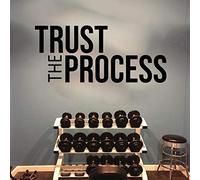 NSRJDSYT Trust The Process Wall Sticker Gym Office Classroom Inspirational Motivational Quote Vinyl Wall Decals Wall Decor Posters 57x25cm