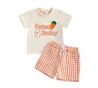 Nsywmzy Toddler Boys Easter Outfits Bunny Carrot Embroidered Short Sleeve T-shirts And Plaid Shorts Set Baby Cute Clothes (Khaki 2, 4-5T)
