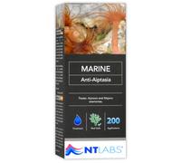 NT Labs Marine Anti-Aiptasia, Removes Aiptasia and Majano Anemones, Pesticide Free Aiptasia Removal, Applicator Included, Up To 200 Applications. 100ml