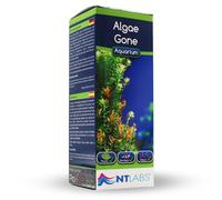 NT Labs Aquarium Algae Gone, Powerful Algae Treatment, Clarifies Green and Cloudy Water, Plant-Friendly, Lowers Algae-Causing Phosphate, Promotes a Health Aquatic Environment, (250ml)
