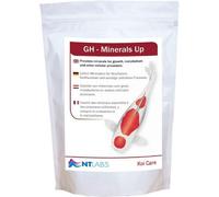 Nt Labs Koi Care Gh Minerals Up Kh Increase Growth Boost Healthy Garden Pond 5Kg