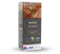 NT Labs Marine Anti-Aiptasia Anemone Removal Kit (100ml) | Pesticide-free formula destroys aiptasia & majano anemones. Includes precise syringe applicator for up to 200 doses.