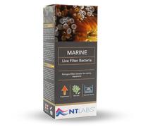 NT Labs Marine Live Filter Bacteria Booster (100ml) | Marine-adapted nitrifying bacteria culture treats 400L for 9 weeks to rapidly resolve toxic new tank syndrome.
