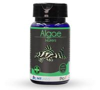NT Labs Pro-f Algae Wafers, Food For Bottom Feeding Fish Species, Aquarium Fish Food, Sinking 13mm Wafer, Nutritious Fish Feed, 40g