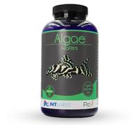 NT Labs Pro-f Algae Wafers, Food For Bottom Feeding Fish Species, Aquarium Fish Food, Sinking 13mm Wafer, Nutritious Fish Feed, 350g