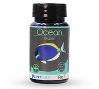 NT Labs Pro-f Ocean Grazer, Food For Ocean Grazing Herbivorous Marine Species, Food For Bottom Feeding Fish Species, Sinking 13mm Wafer (40g)