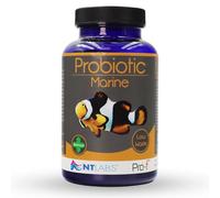 NT Labs Pro-f Probiotic Marine, Floating and Sinking Marine Fish Food, Granular Marine Fish Feed, Supports Immune System, Highly Nutritious Spirulina. 100g