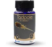 Nt Labs Tadpole Food (6 Weeks+) Inect Meal Protein Native & Exotic Tadpoles Diet