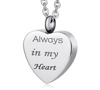 NTALJC Pendant for Women Heart, Urn Necklaces Stainless Steel Memorial Locket Pendant for Men with Funnel Kit & Bag