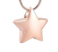 NTALJC Stainless Steel Star Cremation Necklace Ashes Holder Keepsake Memroial Urn Pendant Jewellery For Women Men,1