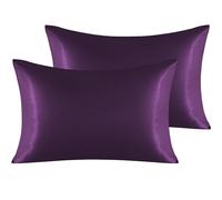 NTBAY 2 Pack Satin Queen Pillowcases for Hair and Skin, Luxurious and Silky Pillow Cases with Envelope Closure, 20x30 Inches, Eggplant Purple