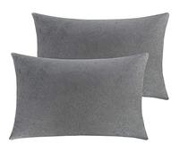 NTBAY 2 Pack Zippered Velvet Queen Pillowcases, Super Soft and Cozy Luxury Fuzzy Flannel Pillow Cases with Zipper, 20x30 Inches, Smoke Grey