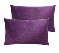NTBAY 2 Pack Zippered Velvet Standard Pillowcases, Super Soft and Cozy Luxury Fuzzy Flannel Pillow Cases with Zipper, 50x75 cm, Pastel Purple