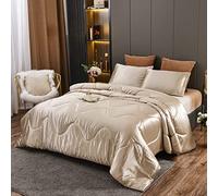 NTBED Silky Satin Comforter Set Queen Champagne, Soft Lightweight Microfiber Luxury Sexy Quilted Bedding Sets with 2 Matching Pillow Covers for Summer Spring Autumn