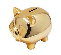 Ntcpefy Ceramic Gold Pig Bank Cute Coin Bank Lucky Pig Decoration,Gold Pig