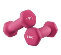 NTEK Neoprene Dumbbells Pair - Hex Hand Weights Set for Women & Men - Anti-Slip, Sweat-Resistant Dumbbell Set for Home Gym, Fitness, Pilates, Arm Workouts & Strength Training (PINK, 1 KG (1PAIR))