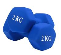 NTEK Neoprene Dumbbells Pair - Hex Hand Weights Set for Women & Men - Anti-Slip, Sweat-Resistant Dumbbell Set for Home Gym, Fitness, Pilates, Arm Workouts & Strength Training (BLUE, 2 KG (1PAIR))
