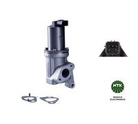 NGK 96111 EGR valve