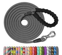NTR Heavy Duty Dog Leash, Black 10MM 15FT Training Leash with Swivel Lockable Hook and Comfortable Padded Handle, Dog Lead for Walking, Hunting, Camping, Backyard for Small Medium and Large Dogs