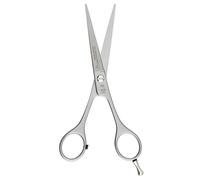 NTS-Solingen Silver Line 250 Hairdressing Scissors Satin 11.5-16.5 cm 100% Made in Solingen, Germany (5.5 Inches = Approx. 14 cm)