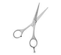 NTS-Solingen Silver Line 250 Hairdressing Scissors, Satin Finish, Professional Hair Cutting Scissors, Scissors, Hair Scissors, Made in Solingen, 12.7 cm = 5.0 Inches