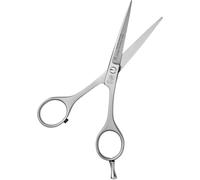 NTS-Solingen Silver Line 250 Hairdressing Scissors, Satin Finish, Professional Hair Cutting Scissors, Scissors, Hair Scissors, Made in Solingen, 12.7 cm = 5.0 Inches