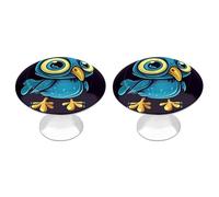 NTVOWPZO 2 Pack Round Big Eyed Bird Cabinet Knobs Pulls Decorative Farmhouse Kitchen Cabinet Door Knob, 2.8cm/1.1" Knob Pull Handles with Screws, Metal Dresser Knobs for Cupboard, Closet, Bifold Door