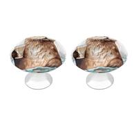 NTVOWPZO 2 Pack Round Sea Otter Cabinet Knobs Pulls Decorative Farmhouse Kitchen Cabinet Door Knob, 2.8cm/1.1" Knob Pull Handles with Screws, Metal Dresser Knobs for Cupboard, Closet, Bifold Door