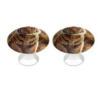 NTVOWPZO 2 Pack Round Small Tiger Cabinet Knobs Pulls Decorative Farmhouse Kitchen Cabinet Door Knob, 2.8cm/1.1" Knob Pull Handles with Screws, Metal Dresser Knobs for Cupboard, Closet, Bifold Door