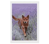 NTVOWPZO 5D Diamond Art Kits for Adults Beginners DIY Dingo in Lavender Field Full Drill Diamond Painting Gem Art Kits Round Diamonds Dots Kit Paint by Numbers for Crafts Gift Home Wall Decor 8x12