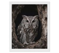 NTVOWPZO 5D Diamond Art Kits for Adults Beginners DIY Owl at The Cave Entrance Full Drill Diamond Painting Gem Art Kits Round Diamonds Dots Kit Paint by Numbers for Crafts Gift Home Wall Decor 16x20