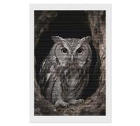 NTVOWPZO 5D Diamond Art Kits for Adults Beginners DIY Owl at The Cave Entrance Full Drill Diamond Painting Gem Art Kits Round Diamonds Dots Kit Paint by Numbers for Crafts Gift Home Wall Decor 8x12