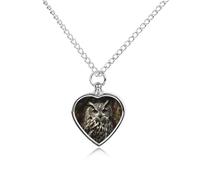 NTVOWPZO An Owl Urn Necklace for Ashes 27.6'' Chain with Filling Kit Pet Cremation Jewelry Charm Silver Pendant Necklace Dog Cat Ashes Keepsakes Memorial Gift for Women Men Pet Lover