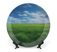 NTVOWPZO Bone China Decorative Plate Field Green Grass Ceramic Dinner Plates with Display Stand Ceramic Ornaments Art PorcelainPlate for Home Office Wall Decor Collections Plate 10inch
