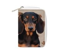 NTVOWPZO Credit Card Holder Wallet for Man Soft Business Card Holder Dachshund Dog Card Case with Zipper, style, 16x11.5cm, Style, 16x11.5cm