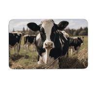 NTVOWPZO Cute Cows Stone Bath Mats Cute Cows Diatomaceous Earth Bath Mat Super Absorbent Bathroom Floor Mat Quick Drying Shower Mat for Shower Bathtub Bathroom Accessory