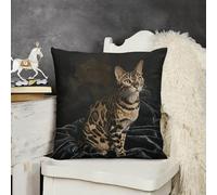 NTVOWPZO Decorative Throw Pillow Covers 22x22 Cat on Blanket Body Pillow Pillowcase Square Couch Cushion Case for Sofa Bed Couch Living Room Plush Pillows Protectors