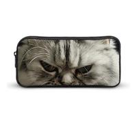 NTVOWPZO Pen Case Aesthetic Pen Pouch Gray Silver Cat Portable Pen Bag Makeup Bag Desk Organizer for Office, Style, 22*12*5cm, Pencil Case