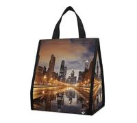 NTVOWPZO Reusable Collapsible Insulated Lunch Bag 9L Foldable Thermal Chicago Cooler Bag with Aluminum Foil Liner Washable Leakproof & Lightweight Lunch Tote for Work Picnic Beach Gym