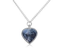 NTVOWPZO Wild Boar on The Ground Urn Necklace for Ashes 27.6'' Chain with Filling Kit Pet Cremation Jewelry Charm Silver Pendant Necklace Dog Cat Ashes Keepsakes Memorial Gift for Women Men Pet Lover