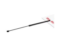 NTY AE-AU-062 Bonnet strut