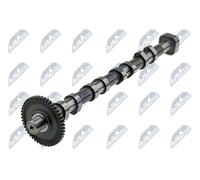 NTY Camshaft RKZ-WW-000 For Audi Seat Skoda VW Exhaust Side Reinforced