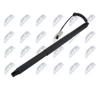 NTY Electric Gas Strut for VW Luggage/Trunk Compartment AE-WW-105